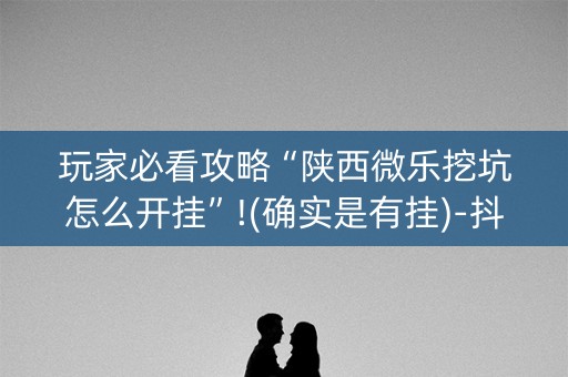 玩家必看攻略“陕西微乐挖坑怎么开挂”!(确实是有挂)-抖音