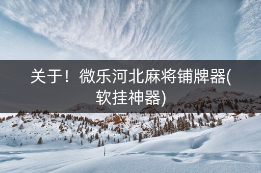 关于！微乐河北麻将铺牌器(软挂神器)