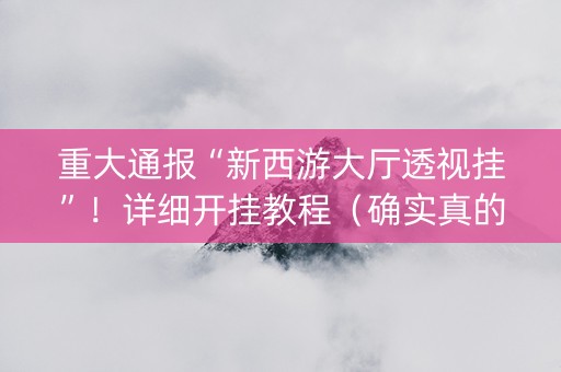 重大通报“新西游大厅透视挂”！详细开挂教程（确实真的有挂)-抖音