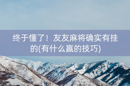 终于懂了！友友麻将确实有挂的(有什么赢的技巧)