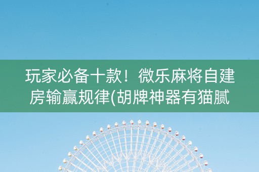 玩家必备十款！微乐麻将自建房输赢规律(胡牌神器有猫腻吗)