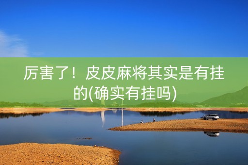 厉害了！皮皮麻将其实是有挂的(确实有挂吗)