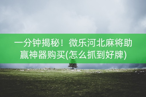 一分钟揭秘！微乐河北麻将助赢神器购买(怎么抓到好牌)