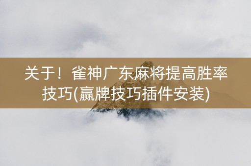 关于！雀神广东麻将提高胜率技巧(赢牌技巧插件安装)