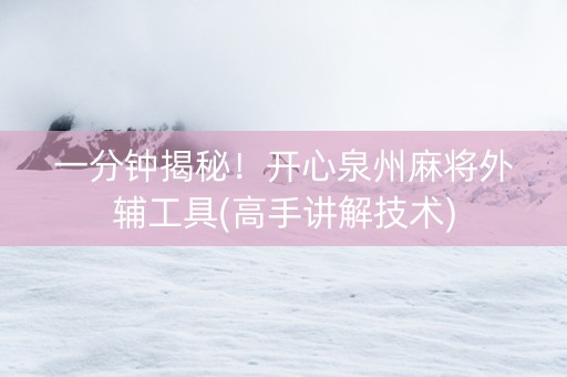一分钟揭秘！开心泉州麻将外辅工具(高手讲解技术)