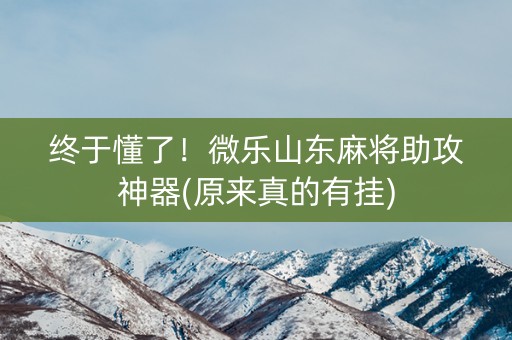 终于懂了！微乐山东麻将助攻神器(原来真的有挂)
