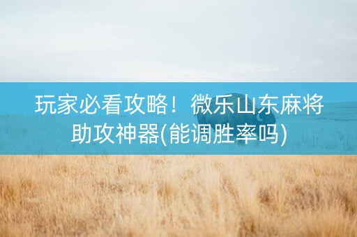 玩家必看攻略！微乐山东麻将助攻神器(能调胜率吗)