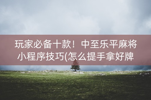玩家必备十款！中至乐平麻将小程序技巧(怎么提手拿好牌)
