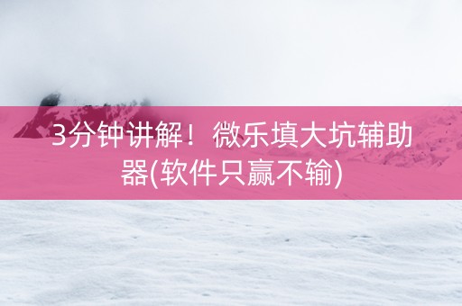 3分钟讲解！微乐填大坑辅助器(软件只赢不输)