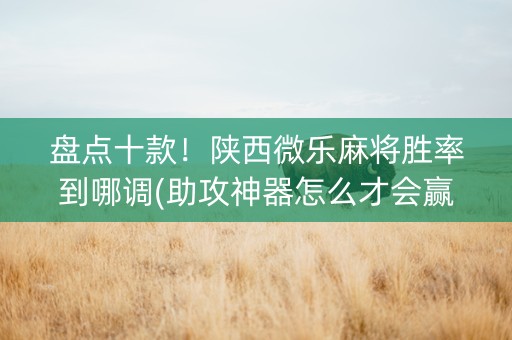 盘点十款！陕西微乐麻将胜率到哪调(助攻神器怎么才会赢)
