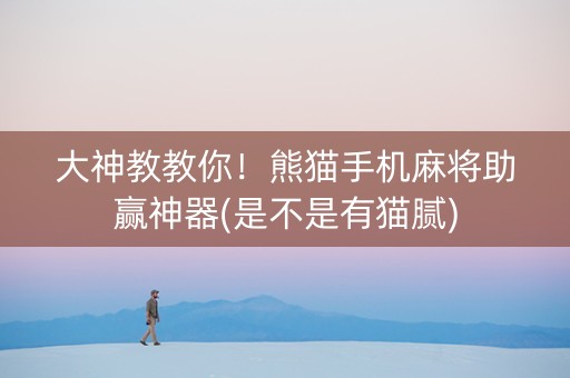 大神教教你！熊猫手机麻将助赢神器(是不是有猫腻)