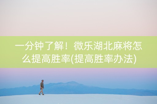 一分钟了解！微乐湖北麻将怎么提高胜率(提高胜率办法)