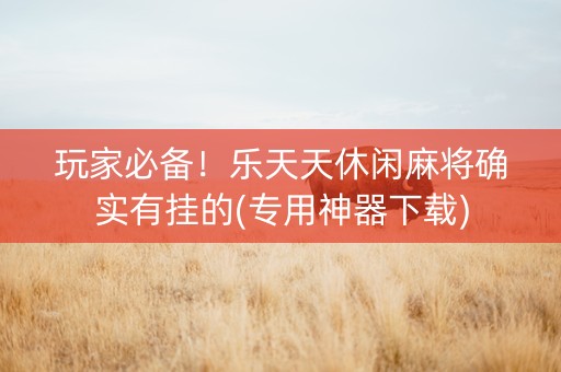 玩家必备！乐天天休闲麻将确实有挂的(专用神器下载)