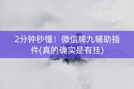 2分钟秒懂！微信牌九辅助插件(真的确实是有挂)