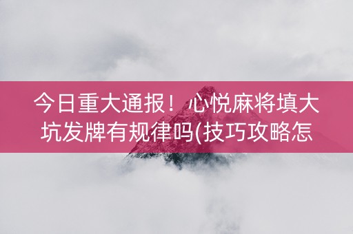 今日重大通报！心悦麻将填大坑发牌有规律吗(技巧攻略怎样拿好牌)