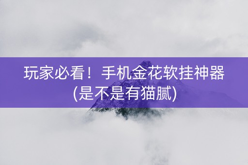 玩家必看！手机金花软挂神器(是不是有猫腻)