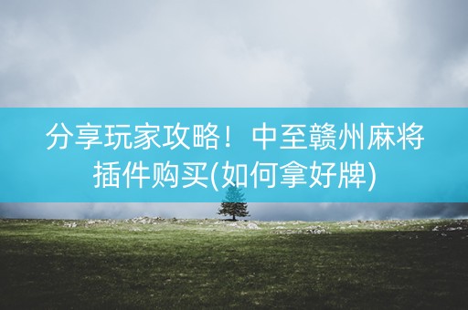 分享玩家攻略！中至赣州麻将插件购买(如何拿好牌)