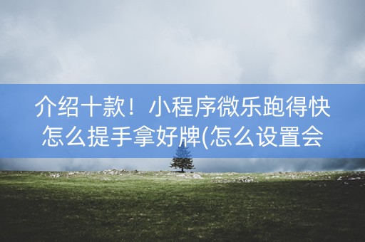 介绍十款！小程序微乐跑得快怎么提手拿好牌(怎么设置会赢)