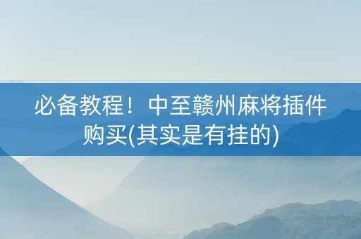 必备教程！中至赣州麻将插件购买(其实是有挂的)