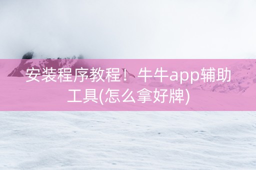 安装程序教程！牛牛app辅助工具(怎么拿好牌)