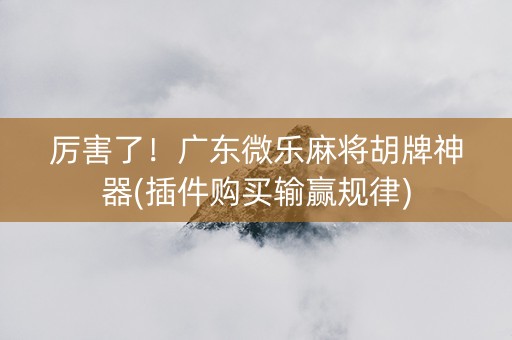 厉害了！广东微乐麻将胡牌神器(插件购买输赢规律)
