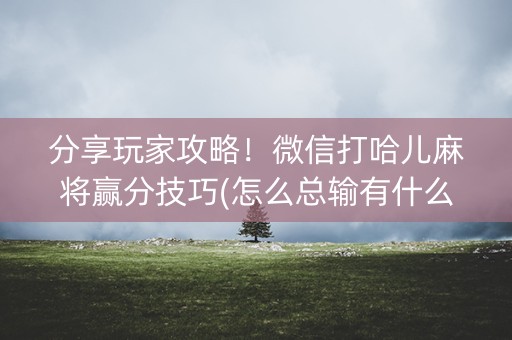 分享玩家攻略！微信打哈儿麻将赢分技巧(怎么总输有什么猫腻)