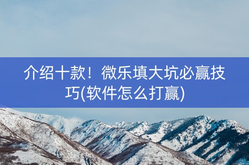 介绍十款！微乐填大坑必赢技巧(软件怎么打赢)