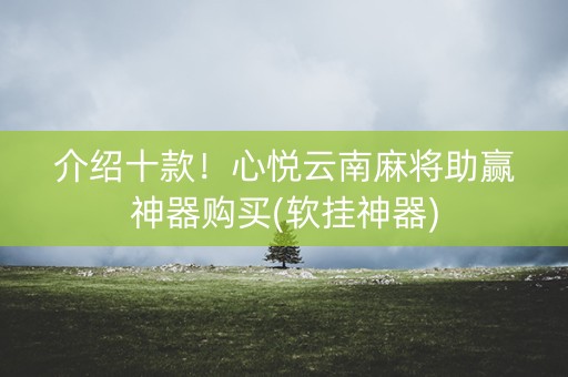介绍十款！心悦云南麻将助赢神器购买(软挂神器)