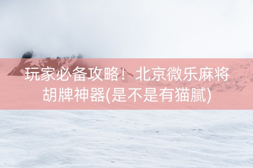 玩家必备攻略！北京微乐麻将胡牌神器(是不是有猫腻)