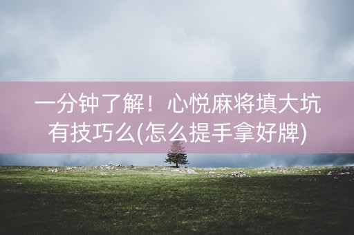 一分钟了解！心悦麻将填大坑有技巧么(怎么提手拿好牌)
