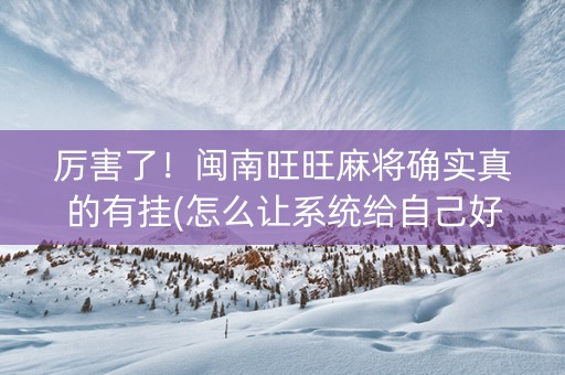 厉害了！闽南旺旺麻将确实真的有挂(怎么让系统给自己好牌)