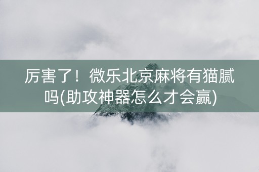 厉害了！微乐北京麻将有猫腻吗(助攻神器怎么才会赢)