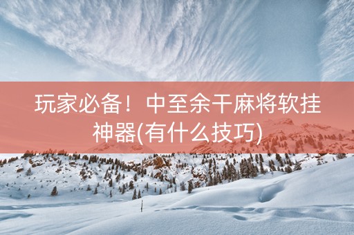 玩家必备！中至余干麻将软挂神器(有什么技巧)