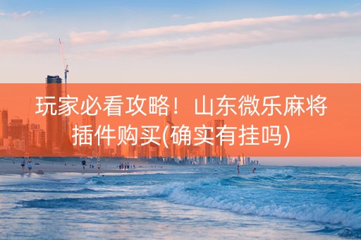 玩家必看攻略！山东微乐麻将插件购买(确实有挂吗)
