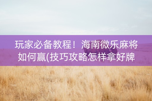 玩家必备教程！海南微乐麻将如何赢(技巧攻略怎样拿好牌)