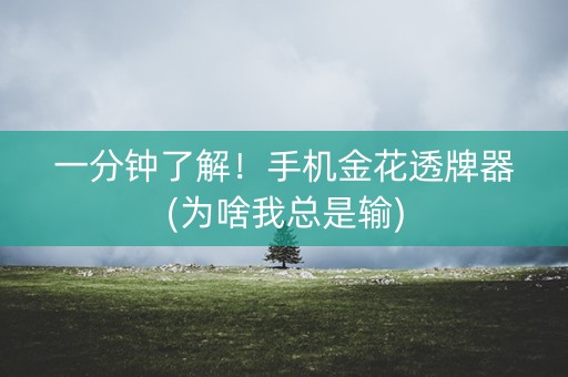 一分钟了解！手机金花透牌器(为啥我总是输)