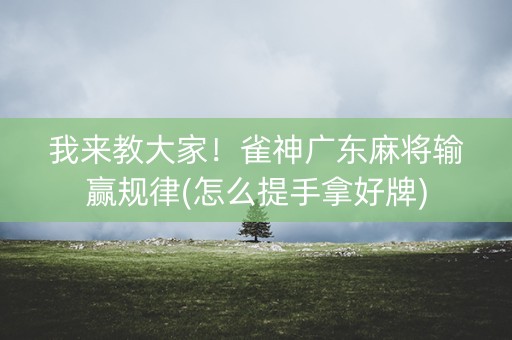 我来教大家！雀神广东麻将输赢规律(怎么提手拿好牌)