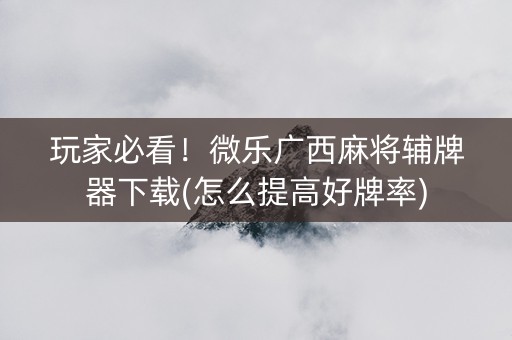玩家必看！微乐广西麻将辅牌器下载(怎么提高好牌率)