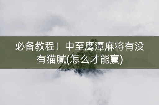 必备教程！中至鹰潭麻将有没有猫腻(怎么才能赢)