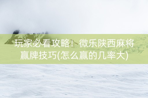 玩家必看攻略！微乐陕西麻将赢牌技巧(怎么赢的几率大)
