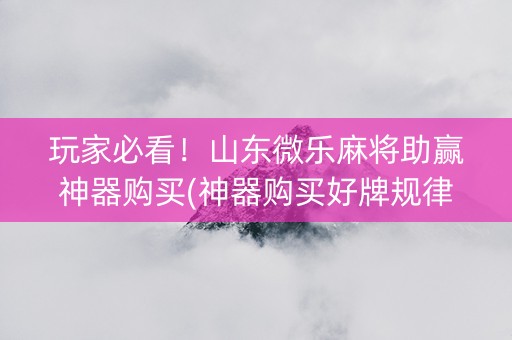 玩家必看！山东微乐麻将助赢神器购买(神器购买好牌规律)