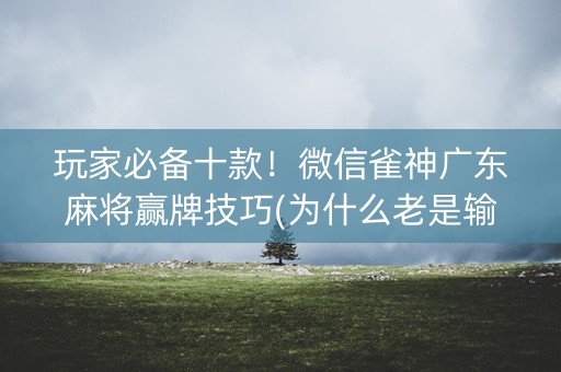 玩家必备十款！微信雀神广东麻将赢牌技巧(为什么老是输呢)