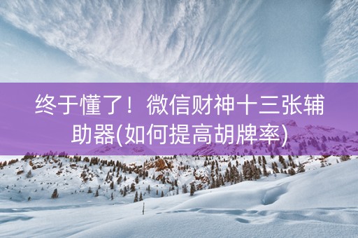 终于懂了！微信财神十三张辅助器(如何提高胡牌率)