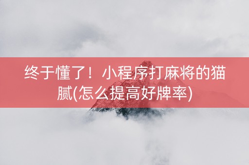 终于懂了！小程序打麻将的猫腻(怎么提高好牌率)