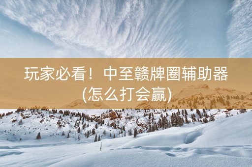 玩家必看！中至赣牌圈辅助器(怎么打会赢)