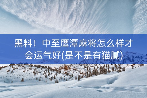 黑料！中至鹰潭麻将怎么样才会运气好(是不是有猫腻)