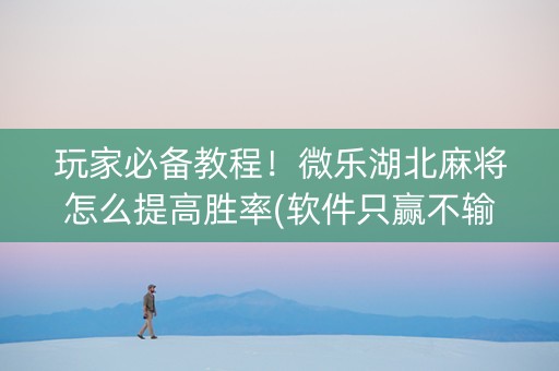 玩家必备教程！微乐湖北麻将怎么提高胜率(软件只赢不输)