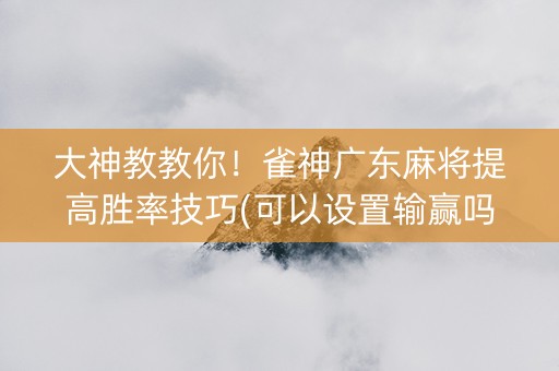 大神教教你！雀神广东麻将提高胜率技巧(可以设置输赢吗)