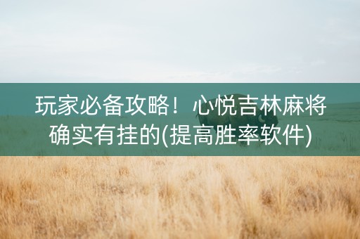 玩家必备攻略！心悦吉林麻将确实有挂的(提高胜率软件)