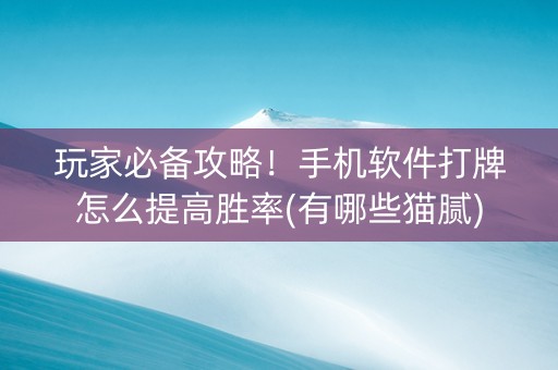 玩家必备攻略！手机软件打牌怎么提高胜率(有哪些猫腻)
